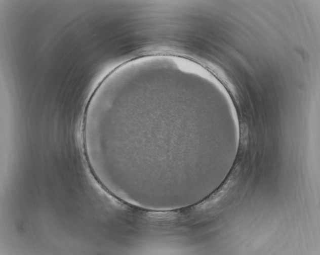 X0000110710863200907241144