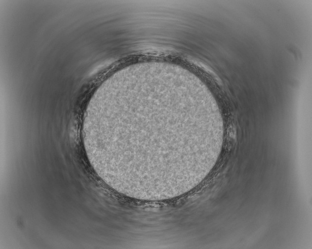 X0000110710869200907241144