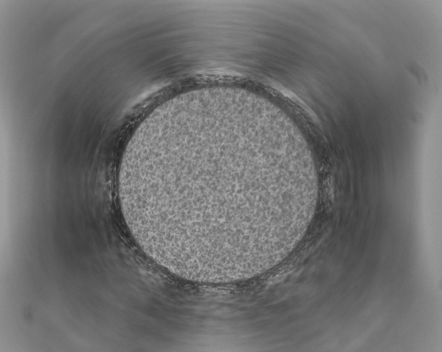 X0000110710870200907241144