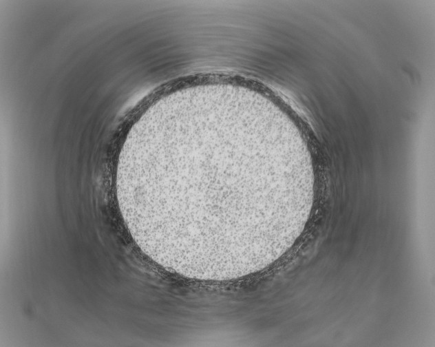 X0000110710871200907241144