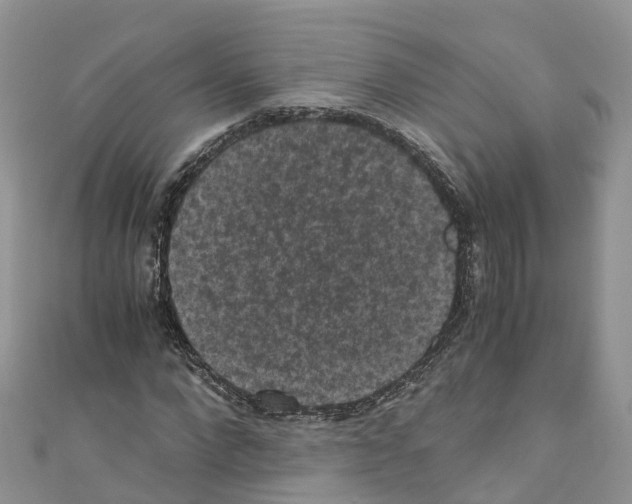 X0000110710872200907241144