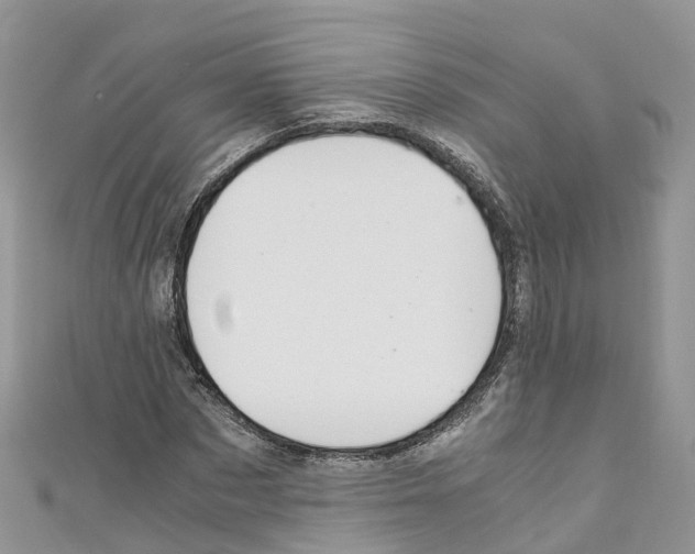 X0000110710873200907241144