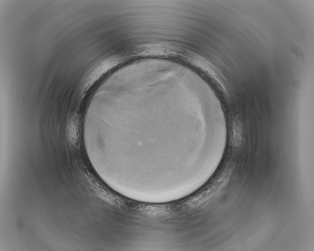 X0000110710874200907241144