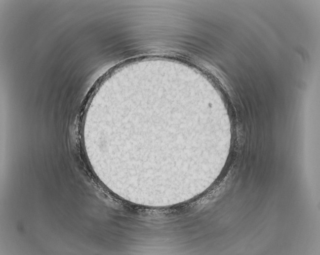 X0000110710875200907241144