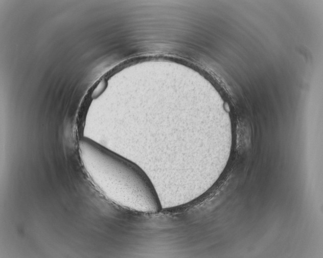 X0000110710876200907241144