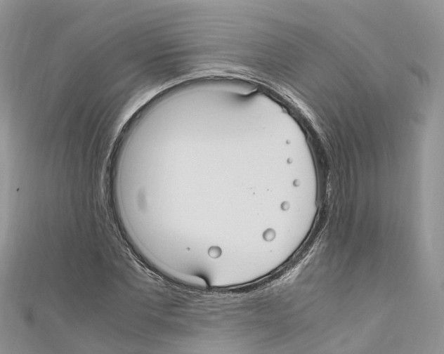 X0000110710877200907241144