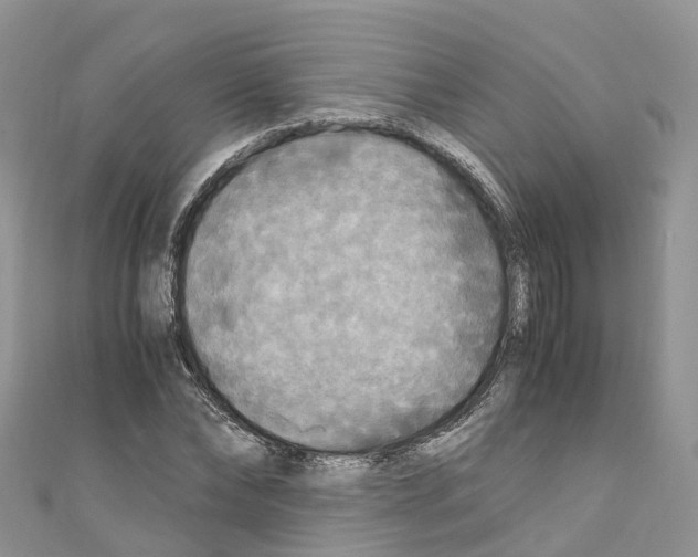 X0000110710878200907241143