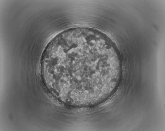 X0000110710879200907241143