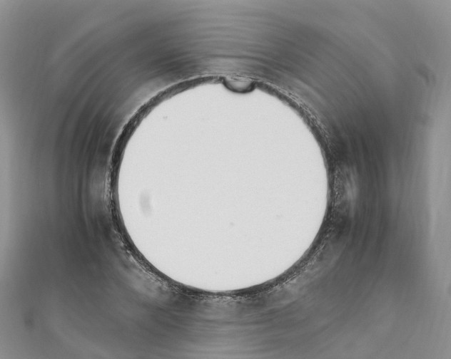 X0000110710880200907241143