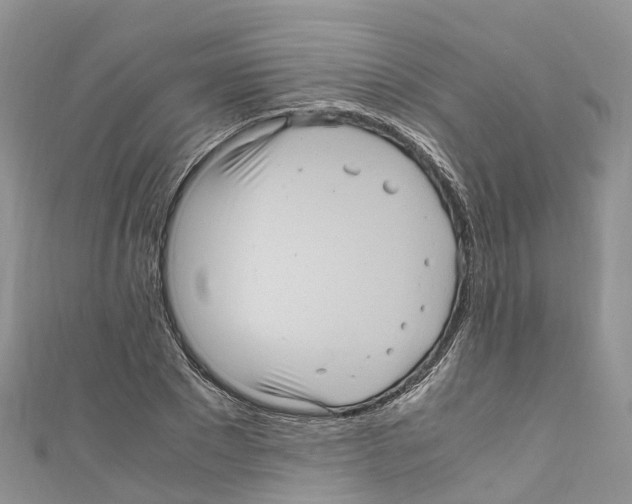 X0000110710881200907241143