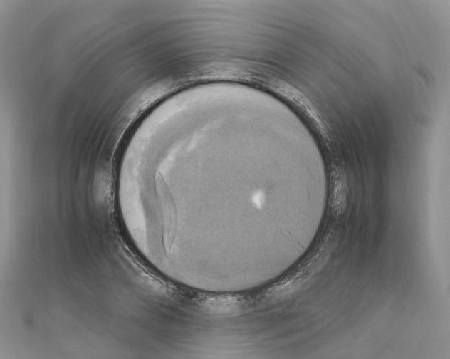 X0000110710882200907241143