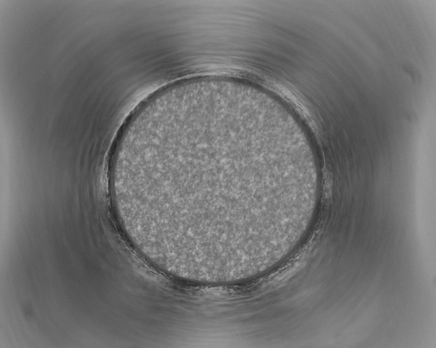 X0000110710883200907241143