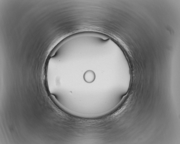 X0000110710885200907241143
