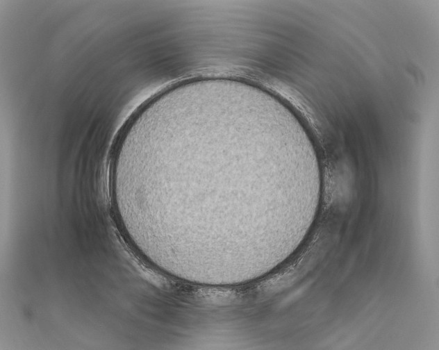 X0000110710886200907241143