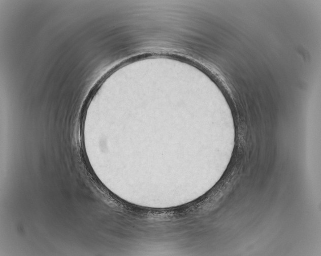 X0000110710887200907241143