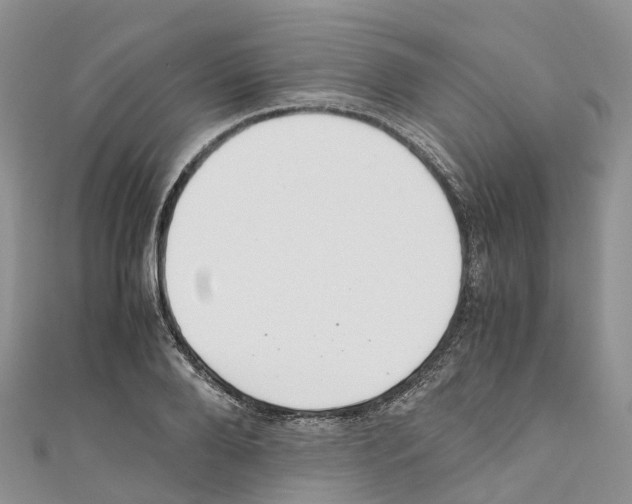 X0000110710888200907241143