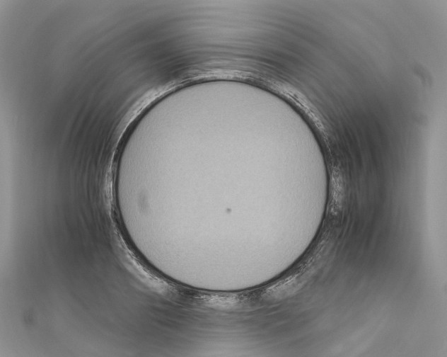 X0000110710890200907241143