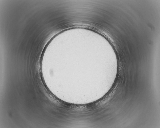 X0000110710891200907241143