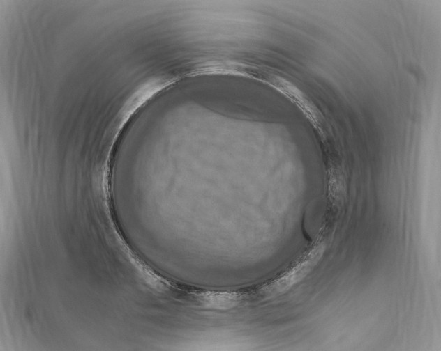 X0000110710893200907241143
