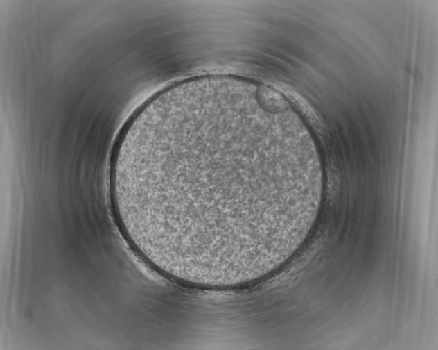 X0000110710894200907241143