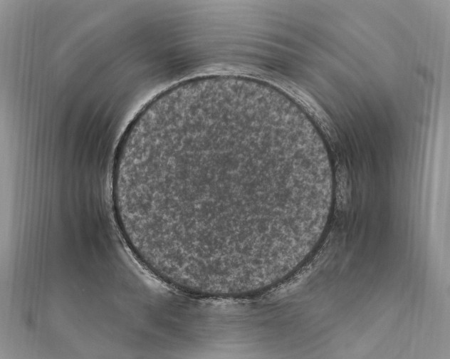 X0000110710896200907241143