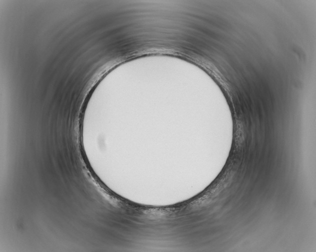 X0000110710898200907241143