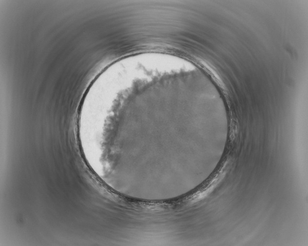 X0000110710899200907241143
