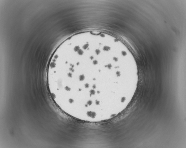 X0000110710900200907241143