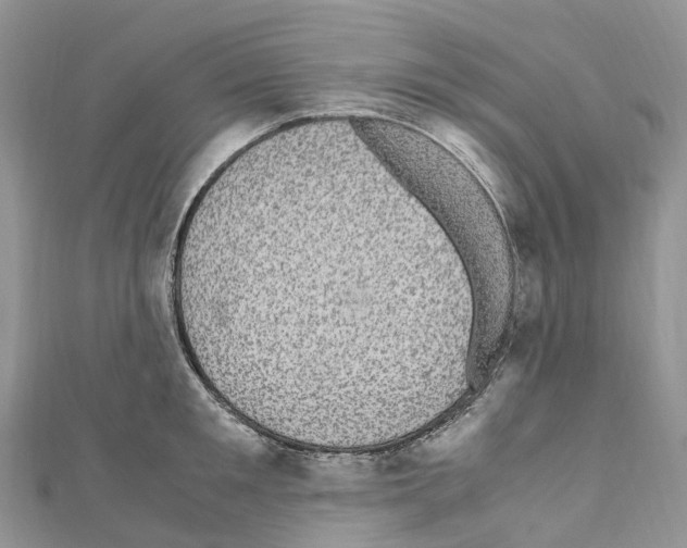 X0000110710901200907241143