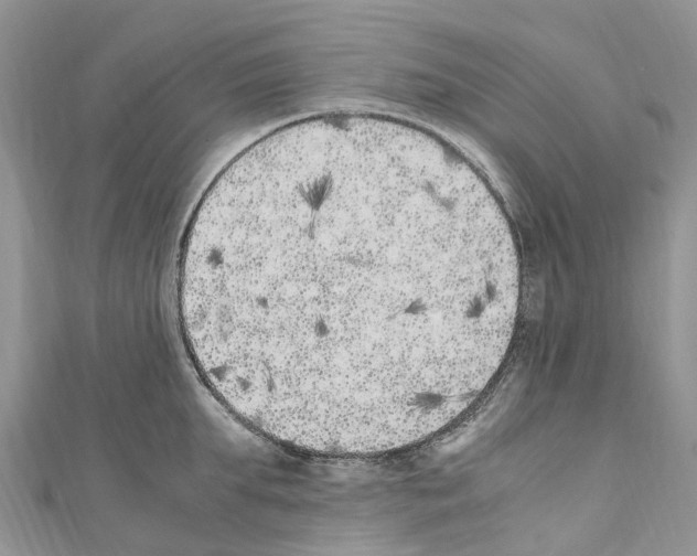 X0000110710903200907241143