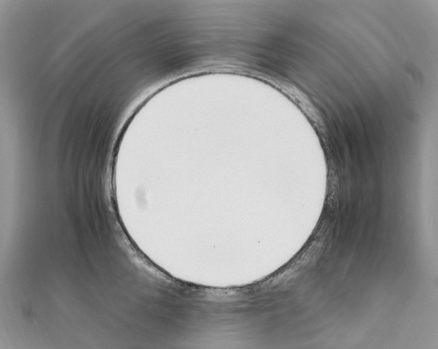 X0000110710904200907241143