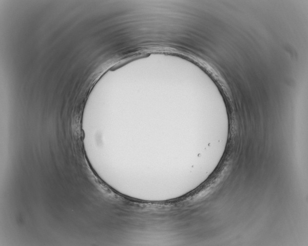 X0000110710905200907241143