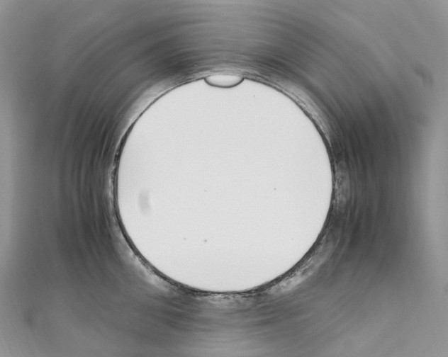 X0000110710906200907241143