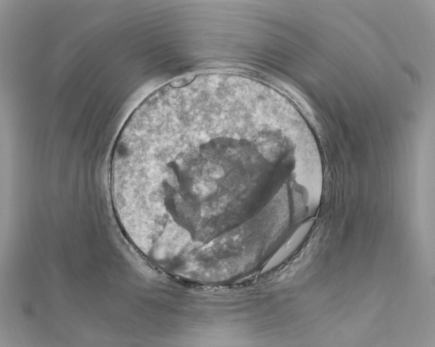X0000110710907200907241143