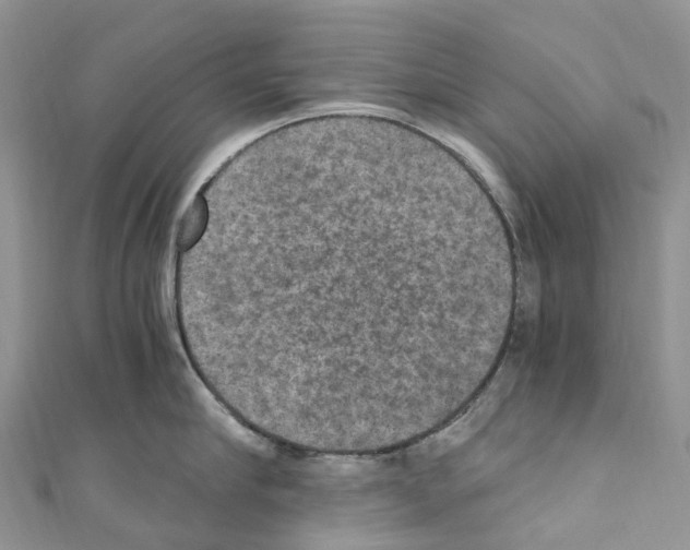 X0000110710910200907241143