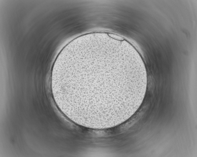 X0000110710911200907241143