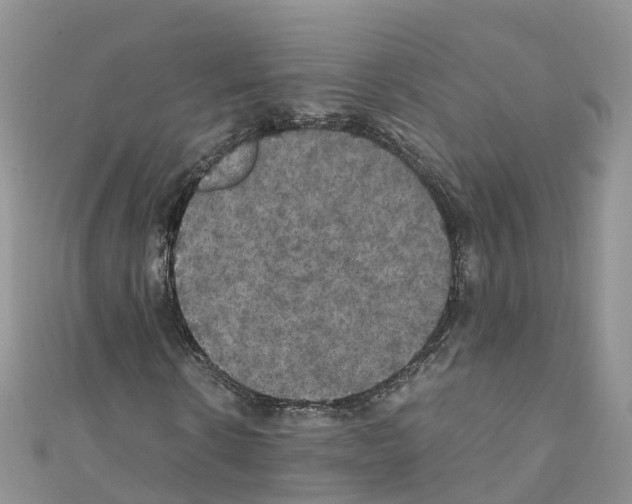X0000110710914200907241142