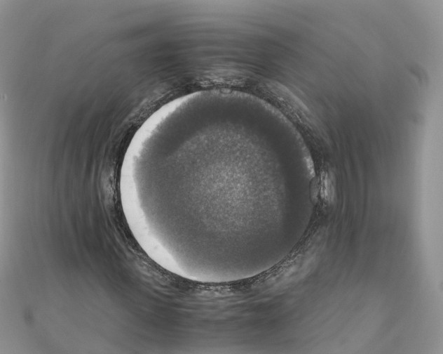 X0000110710915200907241142