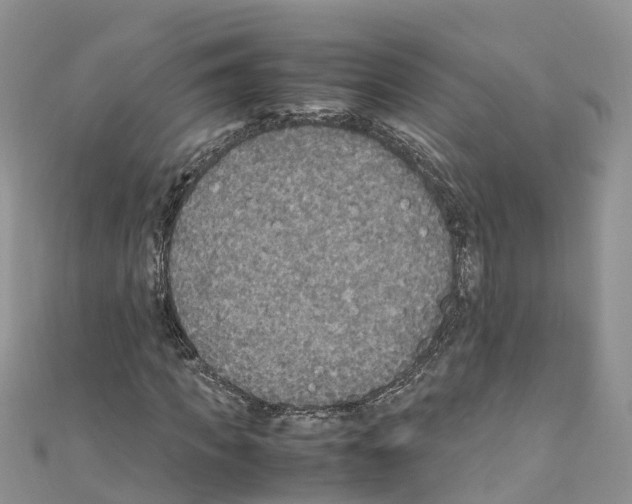 X0000110710917200907241142