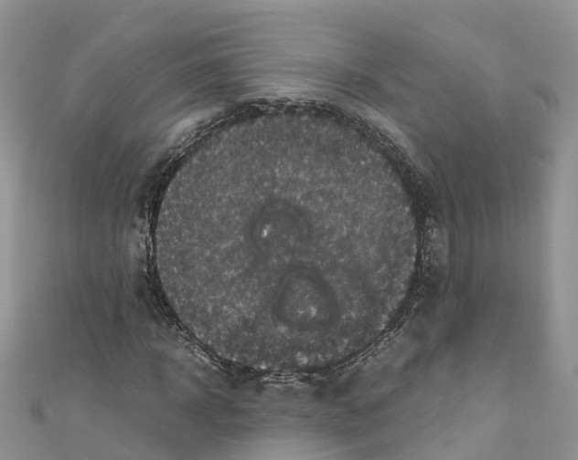 X0000110710918200907241142
