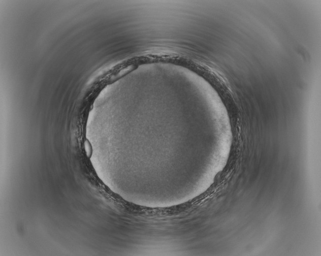 X0000110710920200907241142