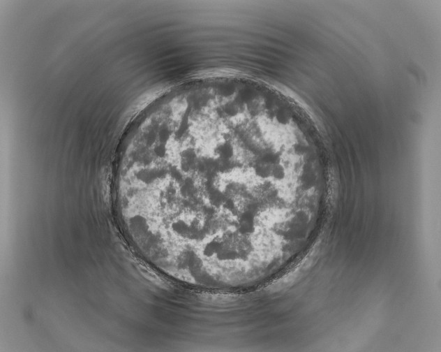 X0000110710921200907241142