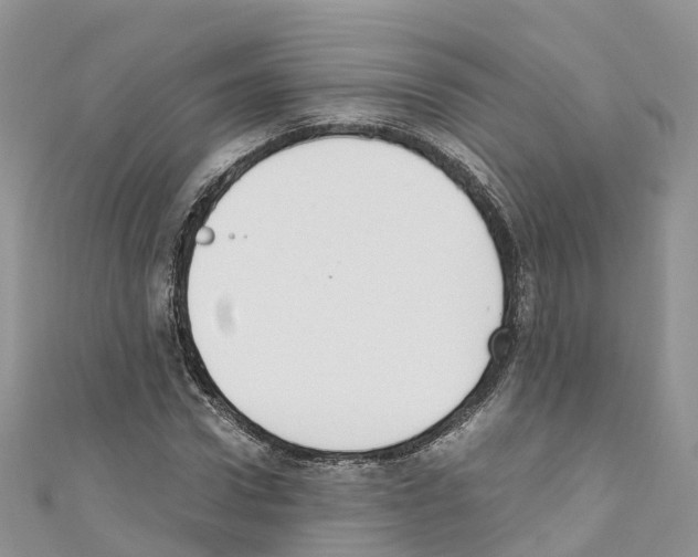 X0000110710922200907241142