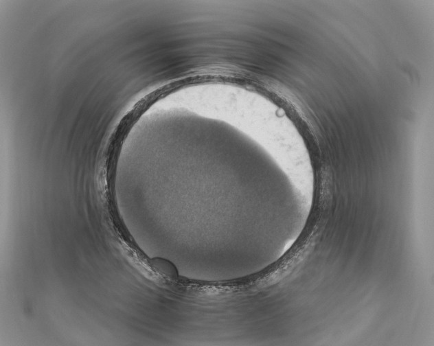 X0000110710923200907241142