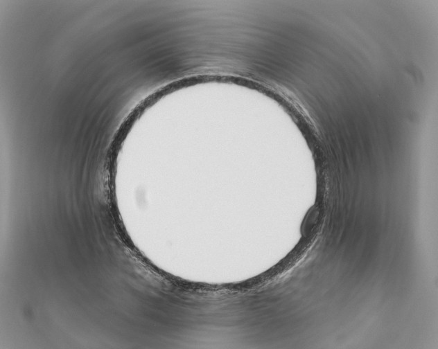 X0000110710926200907241142
