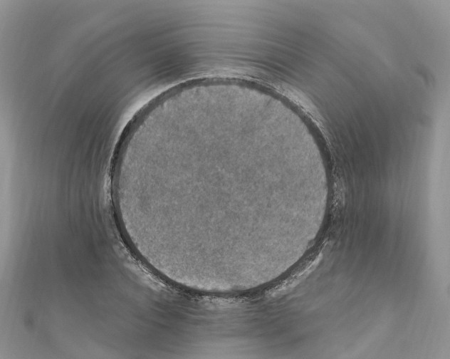 X0000110710928200907241142