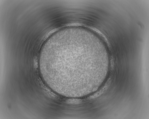 X0000110710929200907241142