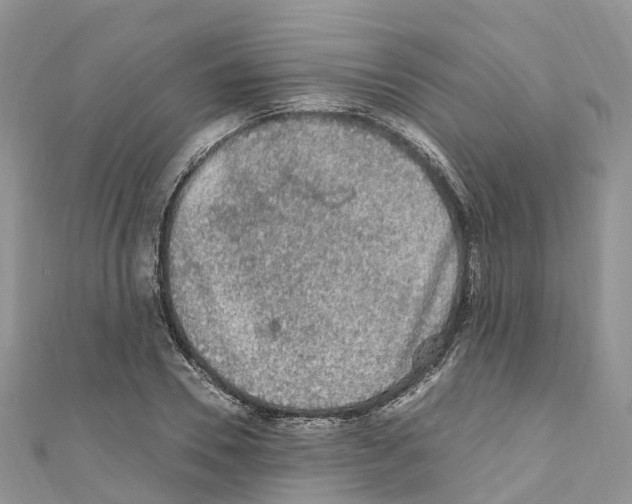 X0000110710930200907241142
