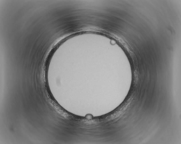 X0000110710931200907241142
