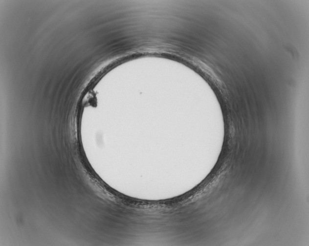 X0000110710934200907241143